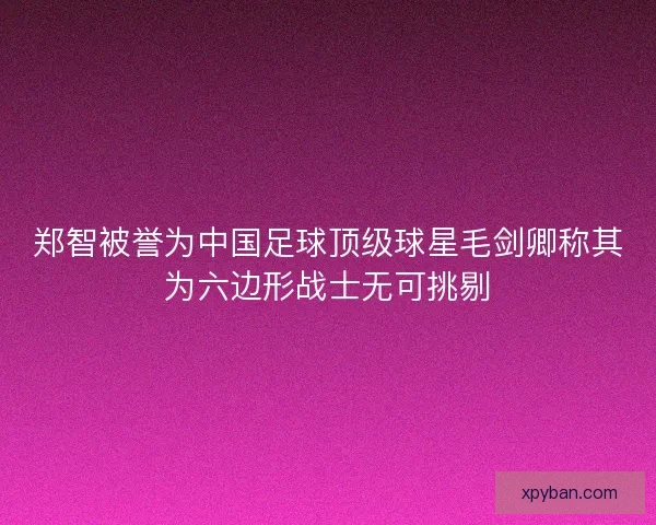郑智被誉为中国足球顶级球星毛剑卿称其为六边形战士无可挑剔